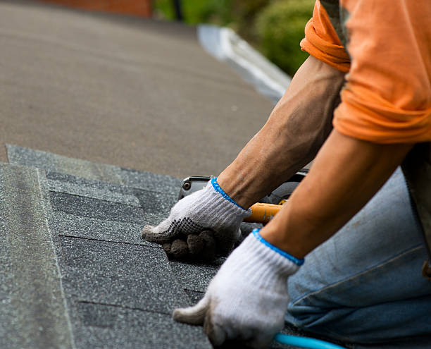 Quick and Trustworthy Emergency Roof Repair Services in Cypress Quarters, FL